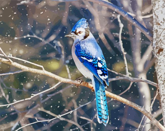 Blue Jays On Branche Painting By Numberss.png