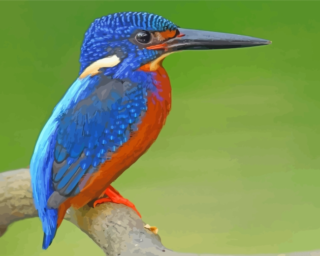 Blue Kingfisher Bird Painting By Numberss.png
