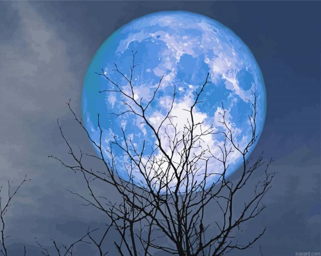 Blue Moon Paint By Numbers