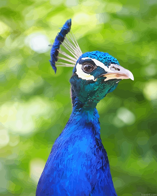 Blue Peacock Portrait New Painting By Numberss.png