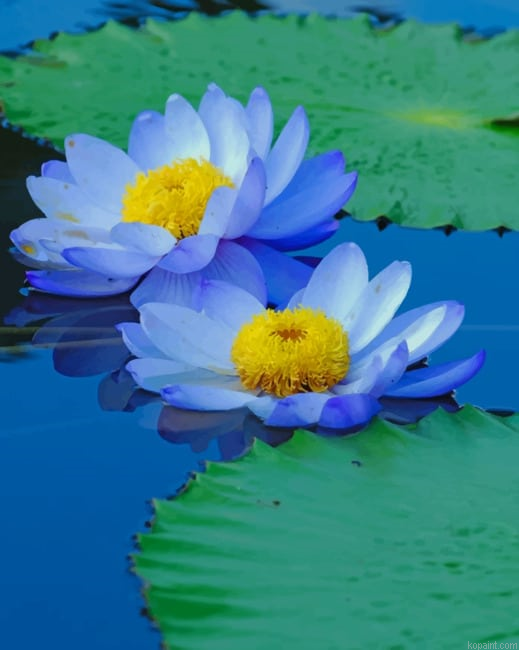 Blue Sacred Lotus New Painting By Numberss.png