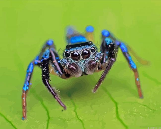 Blue Spider Paint By Numbers