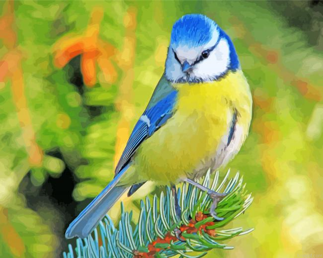 Blue Tit Bird Painting By Numberss.png