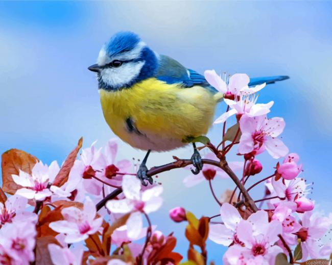 Blue Tit Paint By Numbers