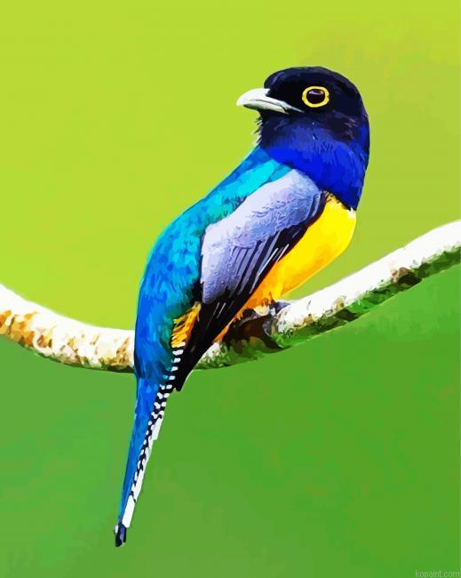 Blue Trogon Painting By Numberss.png