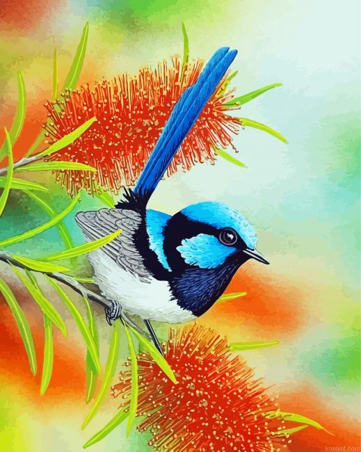 Blue Wren And Bottlebrush Painting By Numberss.png