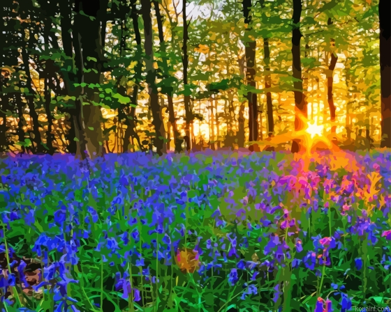 Bluebell Meadow With Sunset Painting By Numberss.png