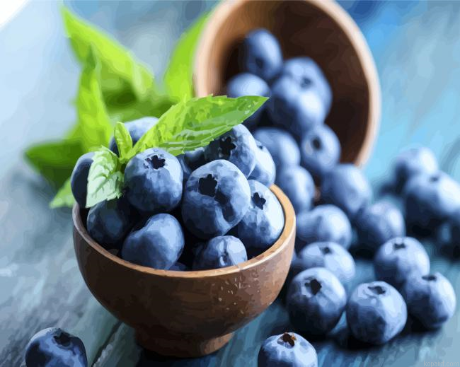 Blueberry Bowl Paint By Numbers.png