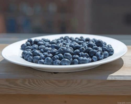 Blueberry Plate On Patio Painting By Numberss.png