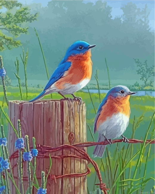 Bluebirds On Wire Painting By Numberss.png