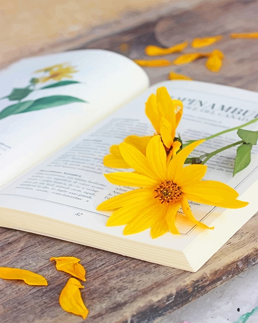 Book And Flower New Painting By Numberss.png