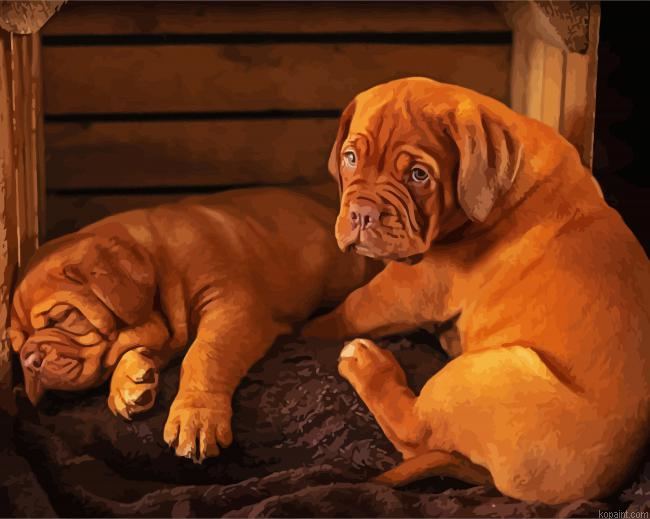 Bordeaux Dogs Painting By Numberss.png