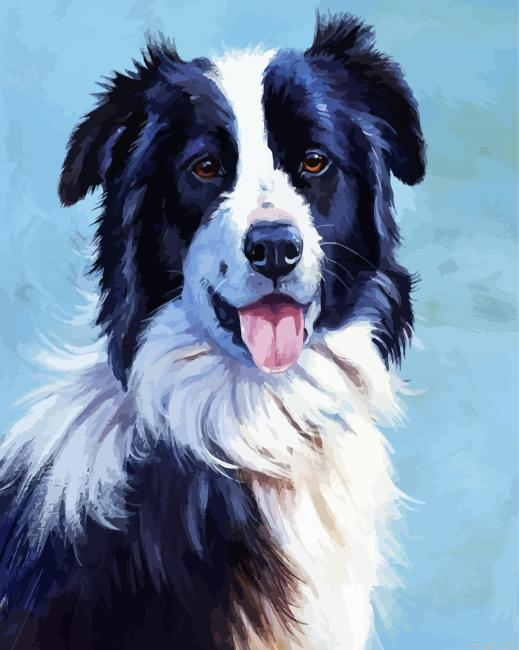 Border Collie Dogs Art Painting By Numberss.png