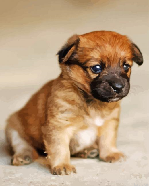 Border Terrier Puppy Painting By Numberss.png