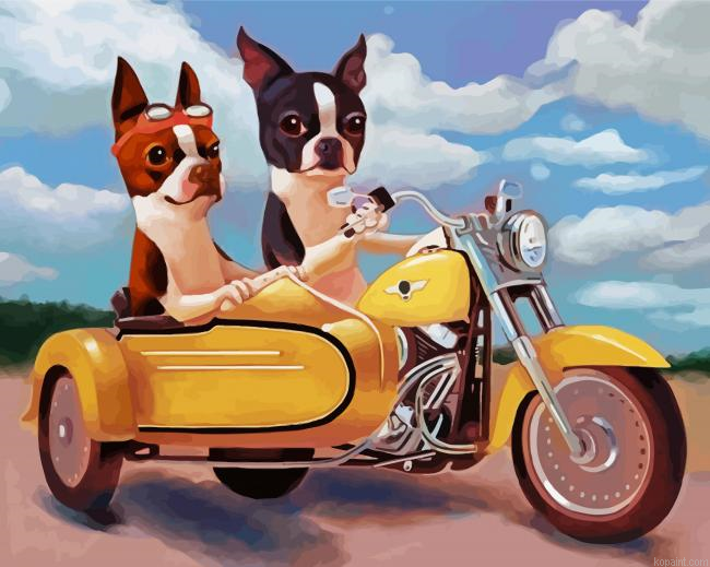 Boston Terrier Riding A Motorcycle Art Paint By Numbers