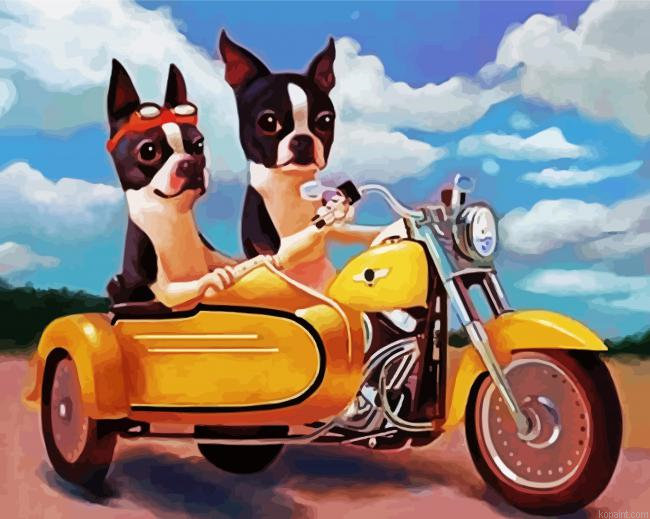 Boston Terrier Riding A Motorcycle Painting By Numberss.png