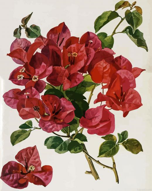 Botanical Flowers Art Paint By Numbers.png