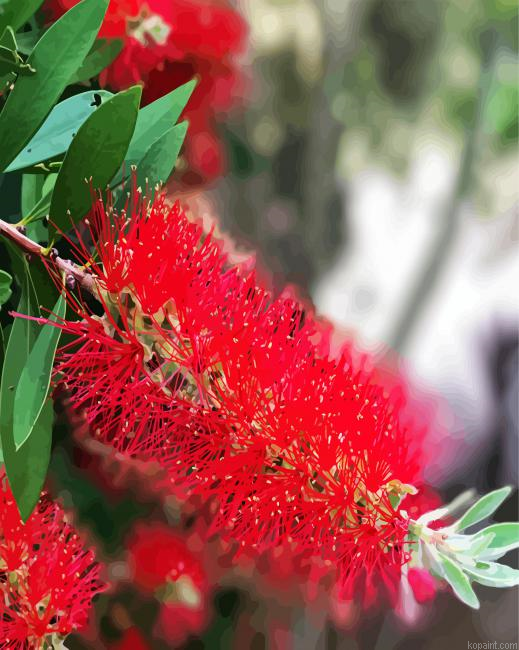 Bottlebrush Plants Painting By Numberss.png