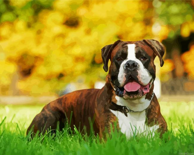 Boxer Dog Animation Painting By Numberss.png