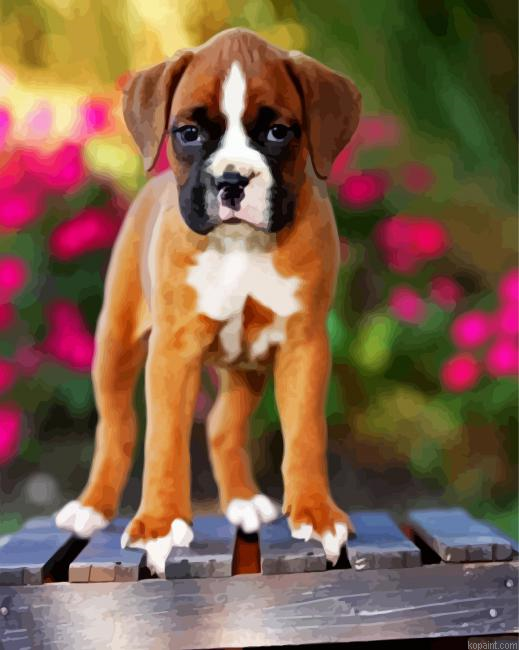 Boxer Puppy Painting By Numberss.png