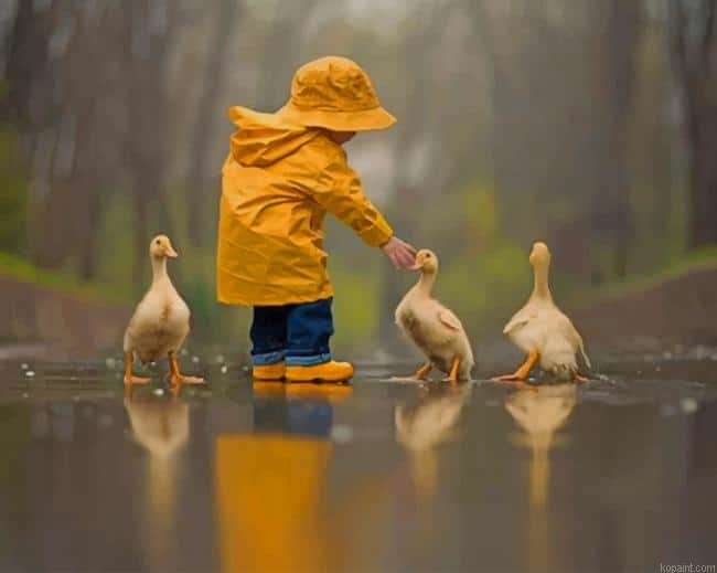 Boy Playing With Ducks New Painting By Numberss.png