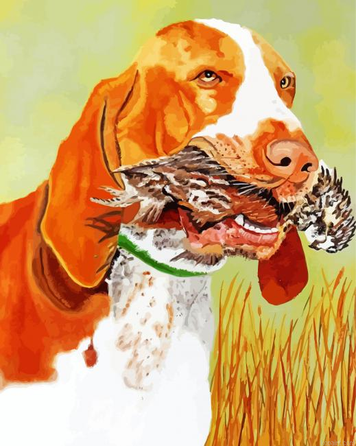 Bracco Italiano Art Painting By Numberss.png
