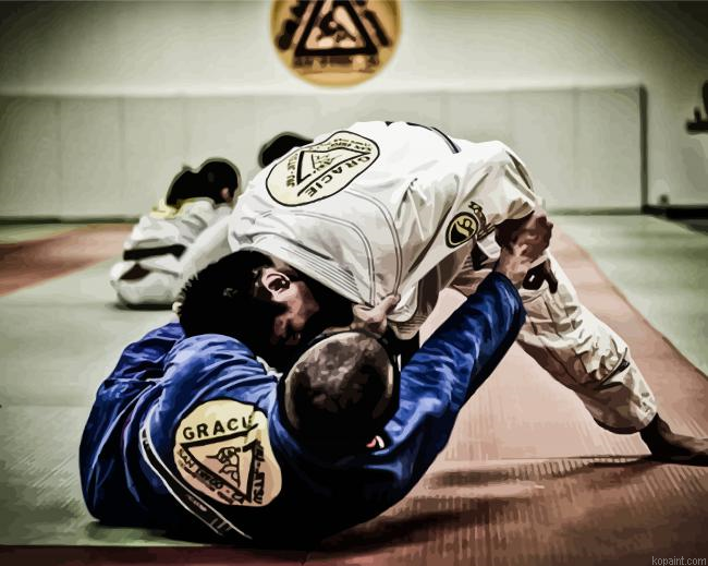 Brazilian Jiu Jitsu Gym Paint By Numbers