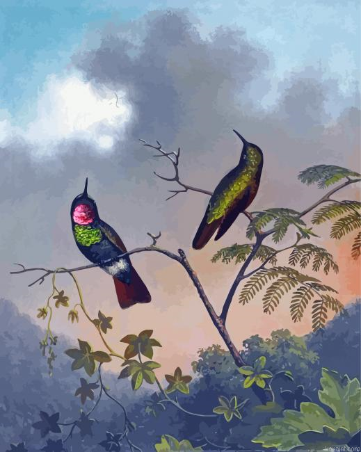 Brazilian Ruby Martin Johnson Heade Painting By Numberss.png