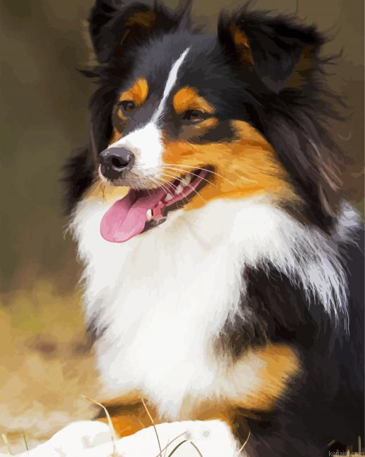 Breed Dog Painting By Numberss.png
