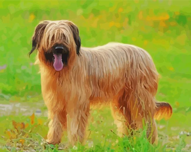 Briard Dog Animal Painting By Numberss.png
