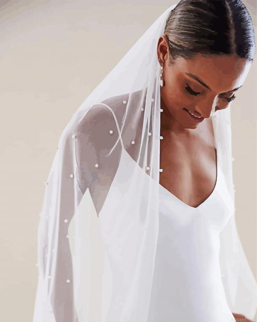 Bridal Veil Painting By Numberss.png