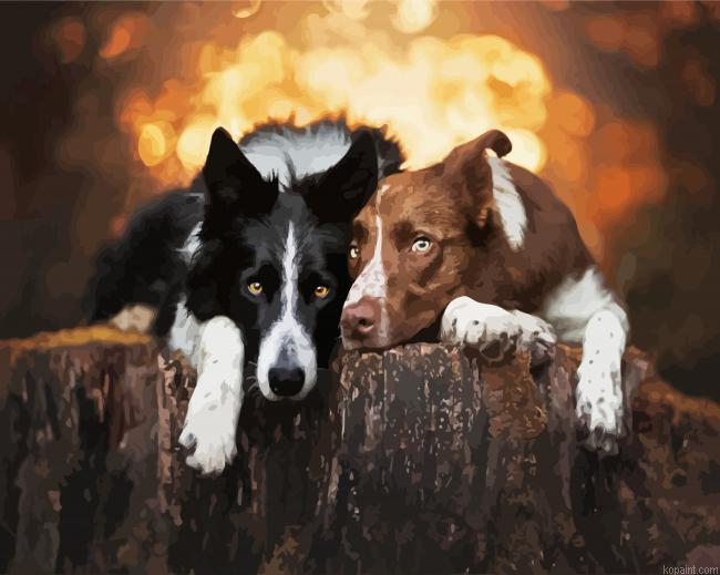 Brown And Black Collies Painting By Numberss.png