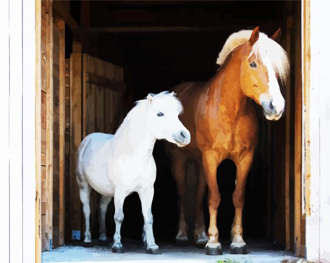 Brown And White Ponies Painting By Numberss.png