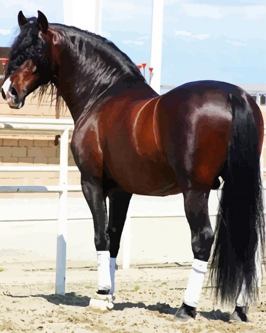 Brown Andalusian Horse Painting By Numberss.png