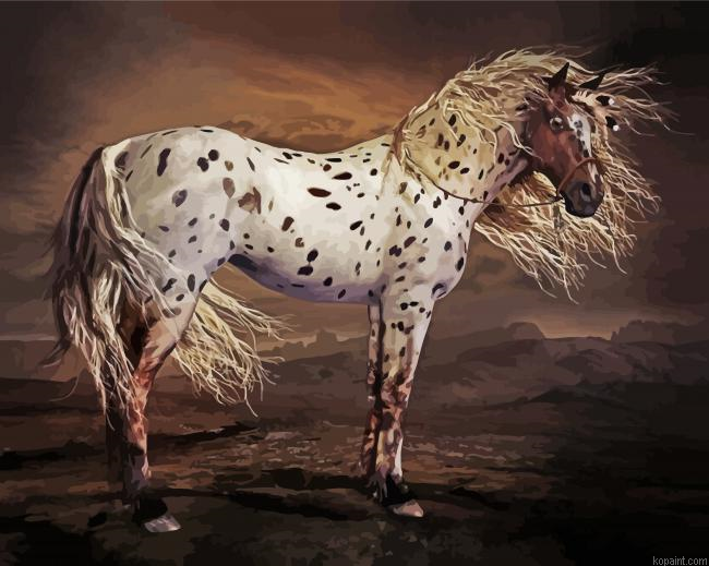 Brown Appaloosa Horse Art Painting By Numberss.png