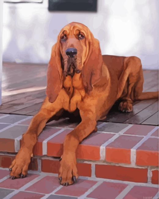 Brown Bloodhound Painting By Numberss.png