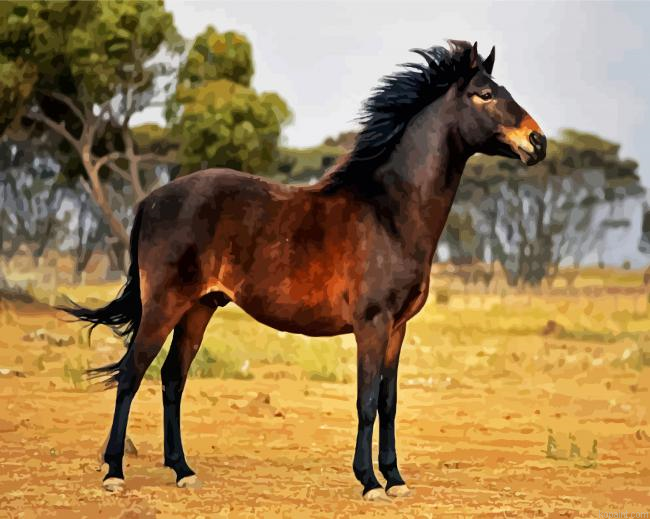 Brown Brumby Horse Painting By Numberss.png