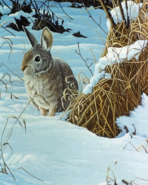 Brown Bunny In Snow Painting By Numberss.png