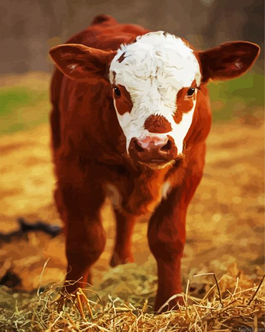 Brown Calf Painting By Numberss.png