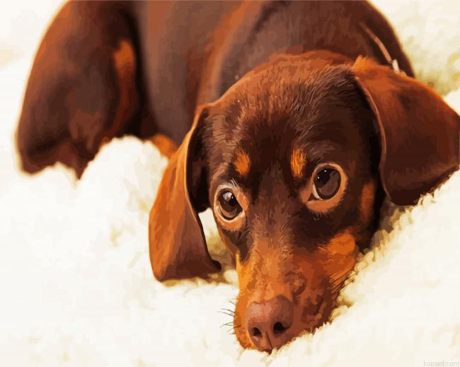 Brown Chiweenie Painting By Numberss.png
