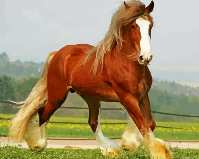 Brown Clydesdale Animal Paint By Numbers