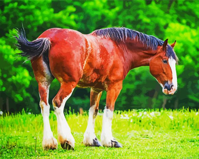 Brown Clydesdale Horse Painting By Numberss.png
