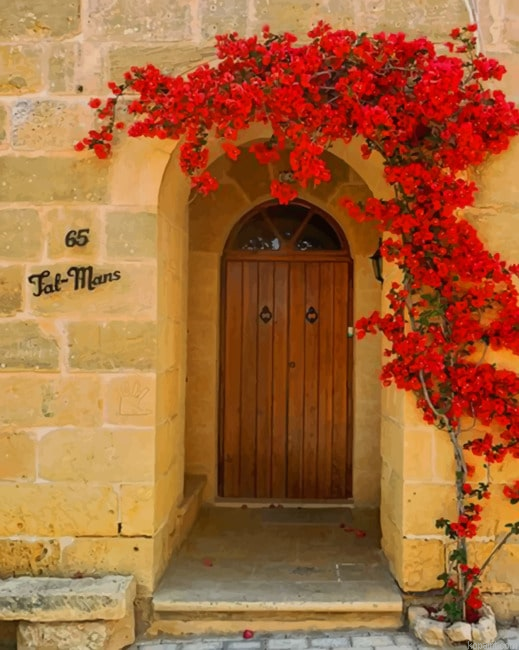 Brown Door With Red Flowers New Painting By Numberss.png