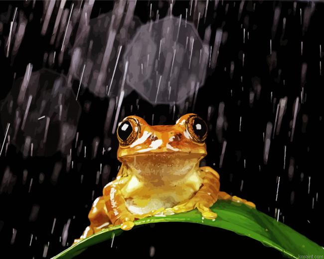 Brown Frog In The Rain Painting By Numberss.png
