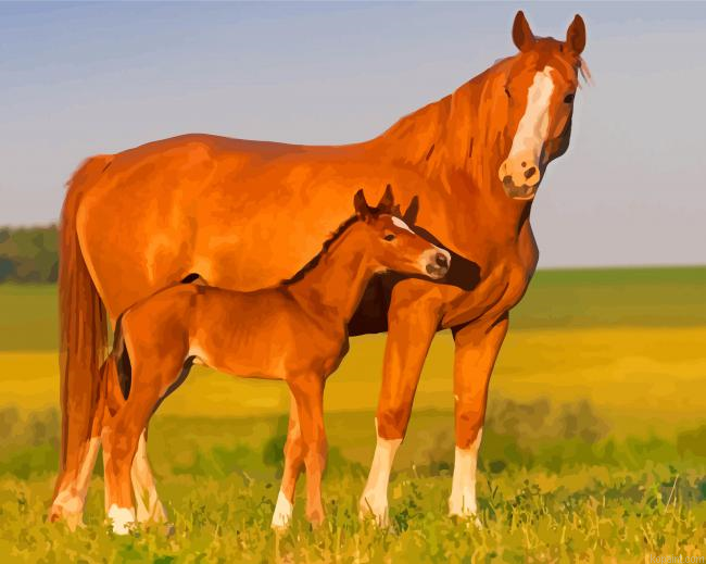 Brown Horse And Colt Painting By Numberss.png