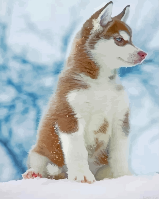 Brown Husky Snow Painting By Numberss.png