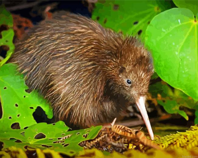 Brown Kiwi Bird Painting By Numberss.png