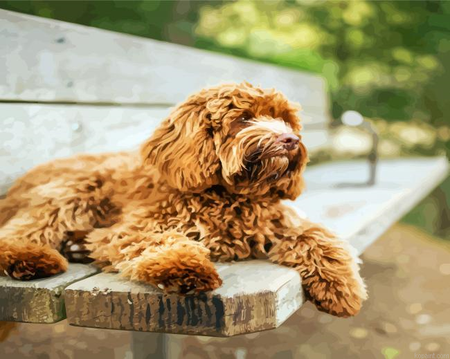 Brown Labradoodle Dog Painting By Numberss.png