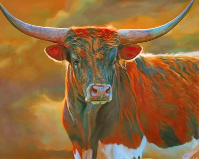 Brown Longhorn New Painting By Numberss.png