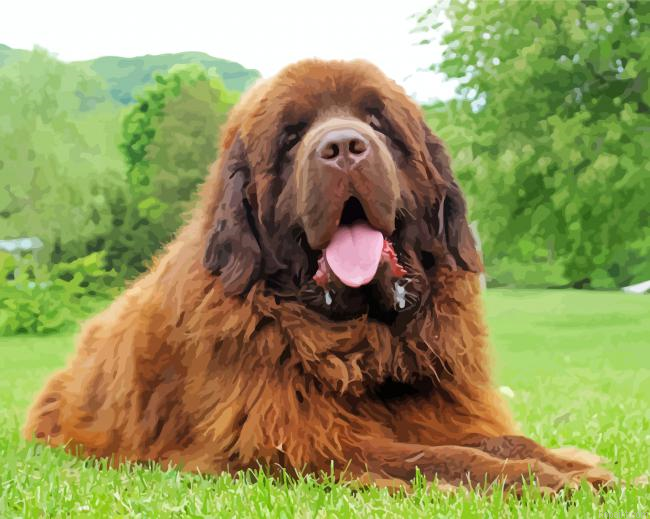 Brown Newfie Dog Painting By Numberss.png